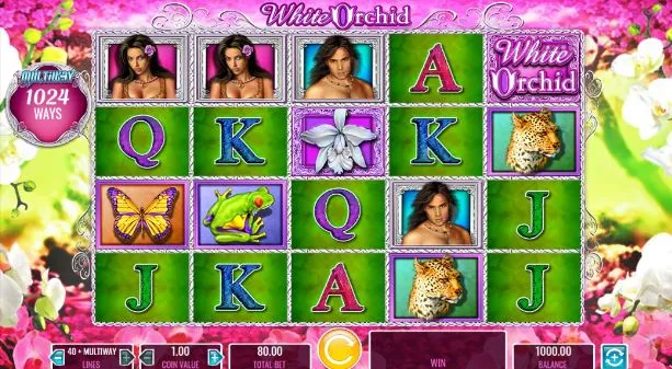 White Orchid slot